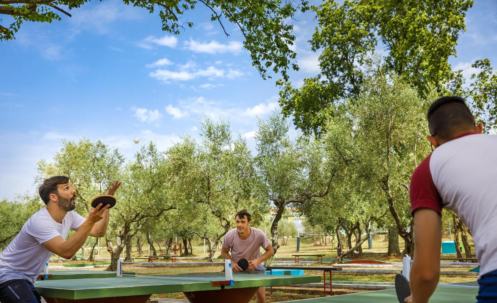 Aminess Planet Camping Maravea Resort - Pitches Novigrad Istria 외부 사진